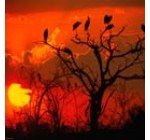 ÁFRICA ANCESTRAL